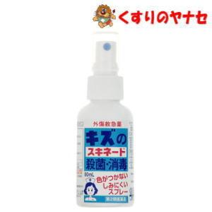 スキネード消毒薬　80ｍｌ／【第２類医薬品】