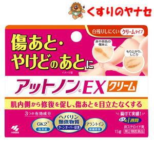 アットノン 【第2類医薬品】【メール便】小林製薬 アットノンEX