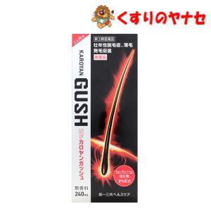 ※ＮＦカロヤンガッシュ 240mL ／【第３類医薬品】