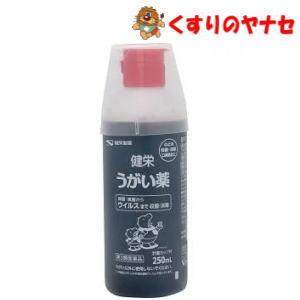 【第３類医薬品】※健栄うがい薬 250mL