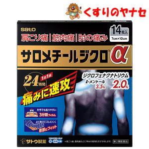 サロメチールジクロαの商品画像