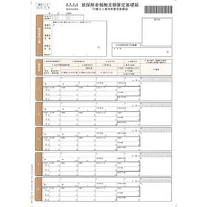 OBC 奉行サプライ 5164 単票被保険者算定基礎届 200枚 日本年金機構の平成30年3月の届出...