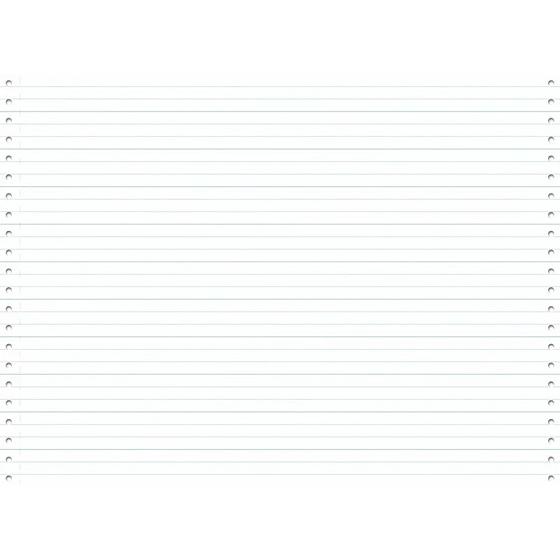 ピーシーエー PCA サプライ 1013-1PG ストックフォーム10inch（ライン付き） 200...