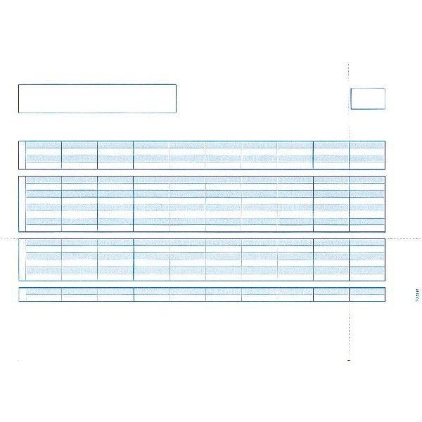 ピーシーエー PCA サプライ PA1116G 給与明細書単票C 罫線つき 500枚