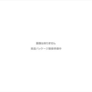 ブシロード カードファイトヴァンガード VG-DZ-BT02 ブースターパック無幻双刻 BOX【4/5発売予定】