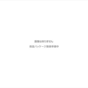 コナミ 遊戯王OCG デュエルモンスターズ THE CHRONICLES DECK 精霊術の使い手 【1/24発売予定】