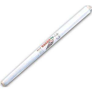 第一ビニール 菜園用透明マルチ 0.95×50m
