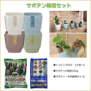 サボテンの土 サボテン 多肉植物 の商品一覧 花 ガーデニング 通販 Yahoo ショッピング