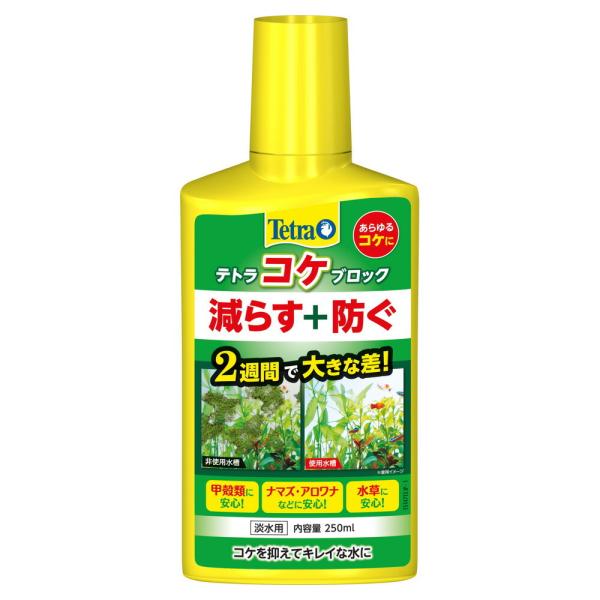 テトラ コケブロック 250ml  スペクトラムブランジャパン [淡水 コケ対策 水質調整剤 アクア...