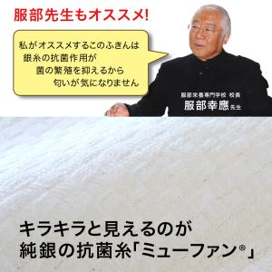 サンベルム ビストロ先生 銀糸の抗菌物語 K5...の詳細画像2