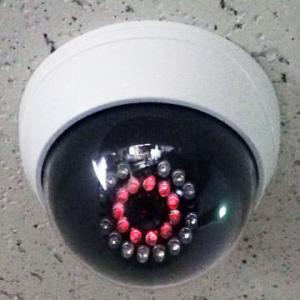 ドーム型ダミーカメラ DD-128 (防犯カメラ 偽物カメラ 模擬カメラ キャロットシステムズ) 爆...