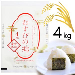 ヒノヒカリ 玄米 30kg 令和7年産 [九州 大分県産 ひのひかり 30kg 米