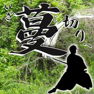 蔓切り(つるきり) 山林用 替刃 三枚刃 23...の詳細画像3