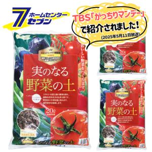 ハイポネックス マグァンプK入り 培養土 10L 草花 野菜 園芸用