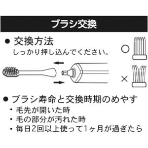 ハピカピンポイント 歯間ブラシ SSS1 6本...の詳細画像1