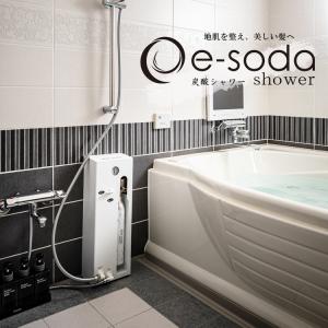 タケシタ e-soda 炭酸シャワー TNSW1...の商品画像