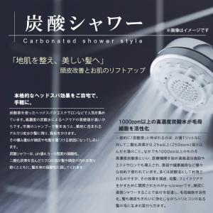 タケシタ e-soda 炭酸シャワー TNSW...の詳細画像1