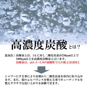 タケシタ e-soda 炭酸シャワー TNSW...の詳細画像2