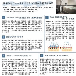 タケシタ e-soda 炭酸シャワー TNSW...の詳細画像4