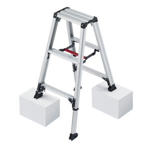 長谷川工業 (法人様限定)2連はしご 全長5.84m 軽量タイプ HC2-61 [hc2