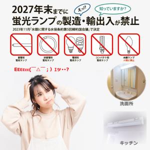 器具を変えずにLED蛍光灯 直管LEDランプ ...の詳細画像1