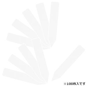 園芸用ラベルたんざく100枚 75mm 藤原産業