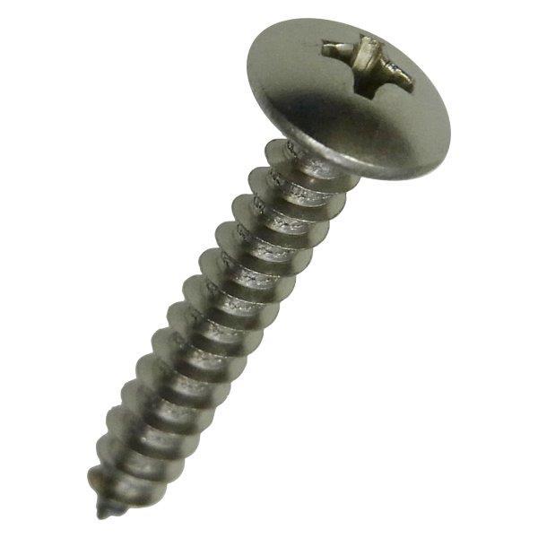 ステントラスタッピング ネジ径4mmx全長50mm (150本入) (ビス ステントラス TS ステ...