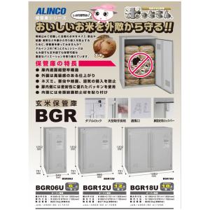 玄米保管庫 玄米30kg×12袋用 BGR12...の詳細画像1