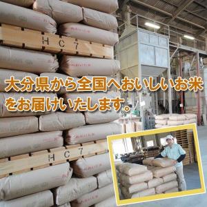 ヒノヒカリ 玄米 30kg 令和7年産 [九州...の詳細画像3