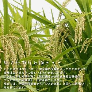 ヒノヒカリ 玄米 30kg 令和7年産 [九州...の詳細画像4