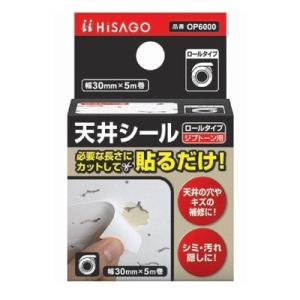 WAKI 和気産業 HISAGO ヒサゴ 天井シール ロールタイプ ジプトーン 幅30mm×長さ5m OP6000｜ホームセンターブリコYahoo!店