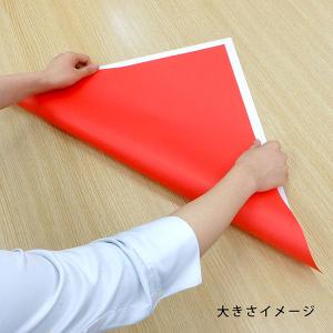 エヒメ紙工 キングサイズおりがみ 50cm×5...の詳細画像5