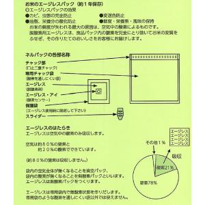 (メール便可)一色本店 ネルパック専用エージレ...の詳細画像1