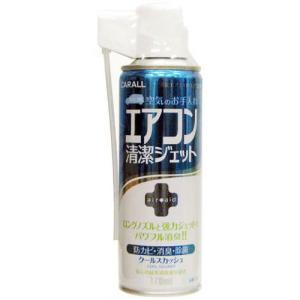 晴香堂 消臭エアエイドエアコン用 エアコン清潔ジェット クールスカッシュ 170ml｜hcbrico