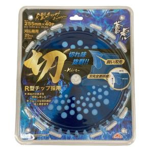 訳あり 藤原産業 セフティー3 R型チップ チ...の詳細画像1