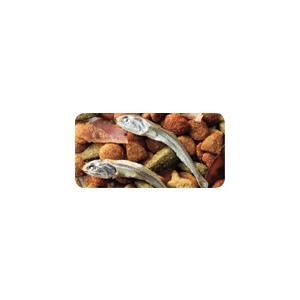 日本ペットフード コンボ キャット まぐろ味・...の詳細画像5