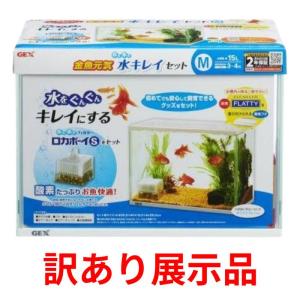 GEX（ジェックス） アクア 水槽セット 飼育セット 水槽 金魚 セット