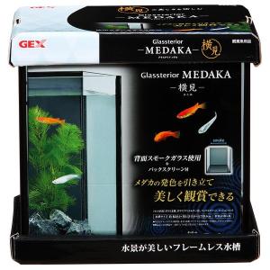 ラピレス ジェックス GEX ラピレスRV90LEDセット 水槽セット（店舗受取