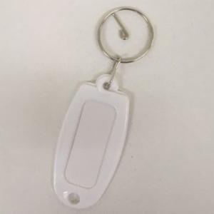 杉田エース（旧：モリギン） バラ マーキー 白 （コンパクト便可）