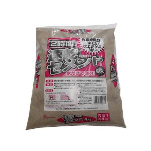 テラダ Terada  2時間速乾セメント