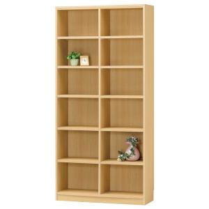 白井産業 タナリオ フリーラック TNL-1887NA