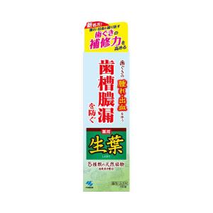 生葉 d 100g 小林製薬 (コンパクト便可)｜hcgooday