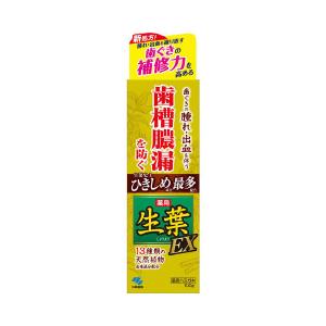 生葉 EXA 100G 小林製薬 (コンパクト便可)｜hcgooday