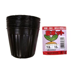渡辺泰 苗ポット 10個入直径7.5cm 高さ6.5cm :701488:ホームセンター