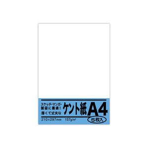 ウズマキ B3ケント紙 べ064 5枚 : ホームセンターグッデイ