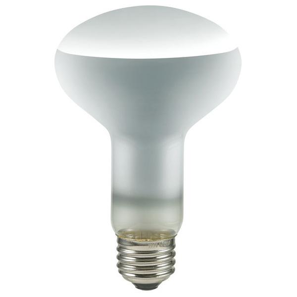 朝日電器 長寿命レフランプ ERF110V100W-L