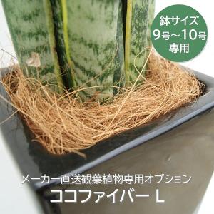 ココファイバー L (9号から10号サイズ) （メーカー直送観葉植物専用オプション） mulc-col｜hcgooday