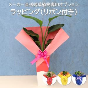 ラッピング (リボン付き) （メーカー直送観葉植物専用オプション） wrap｜hcgooday