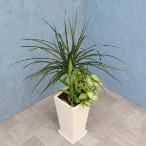 人工観葉植物 3本セット 白ポット 人工観葉植物 3本セット 白ポット 【公式通販】