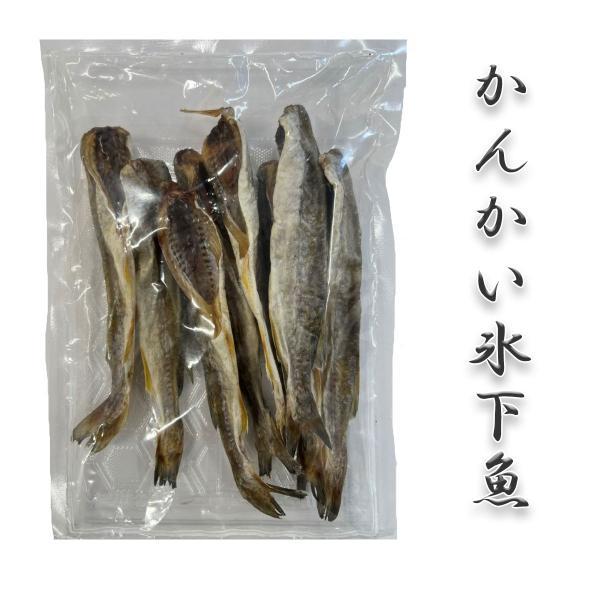 【かんかい氷下魚200g×2】こまい　 コマイ　北海道産　かんかい　干し　食べ物　 ご飯のお供　家飲...